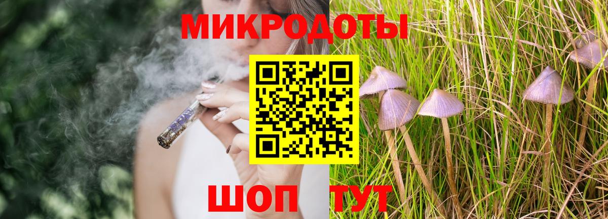 Псилоцибиновые грибы Psilocybe Каменск-Шахтинский