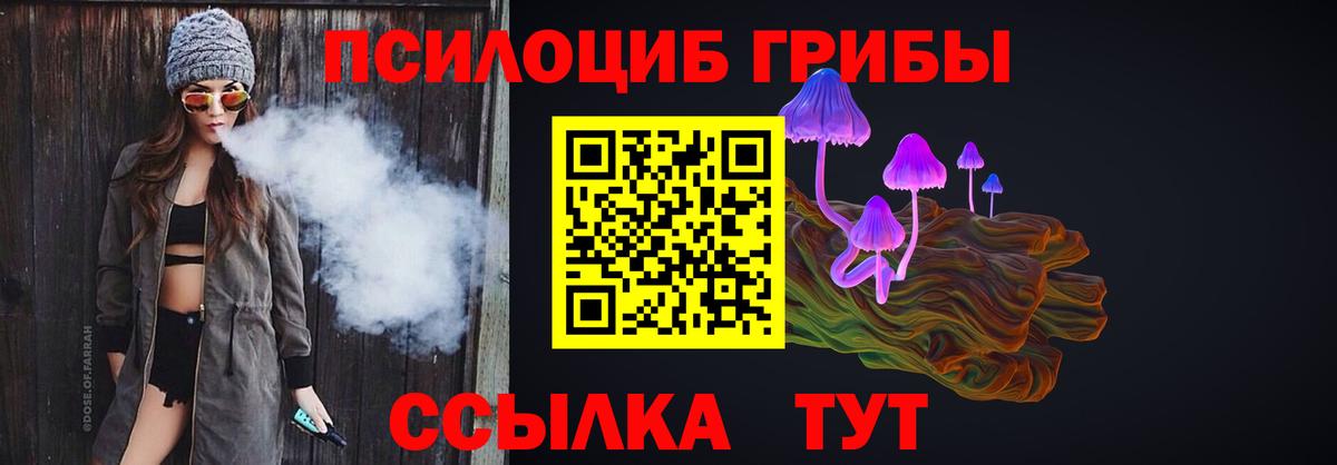 Псилоцибиновые грибы Psilocybe  Псилоцибиновые грибы MAGIC MUSHROOMS  магазин продажи наркотиков  Вход с VPN  Каменск-Шахтинский 